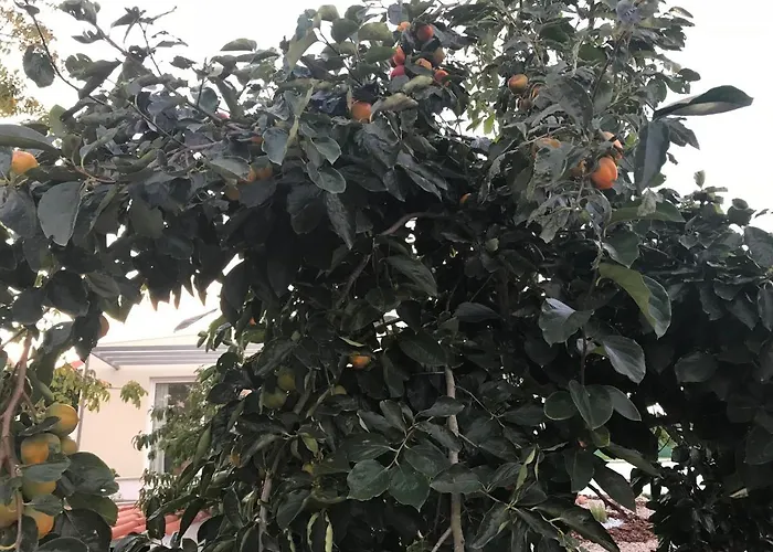 Accommodatie bij particulieren Monte Do Mosteiro *